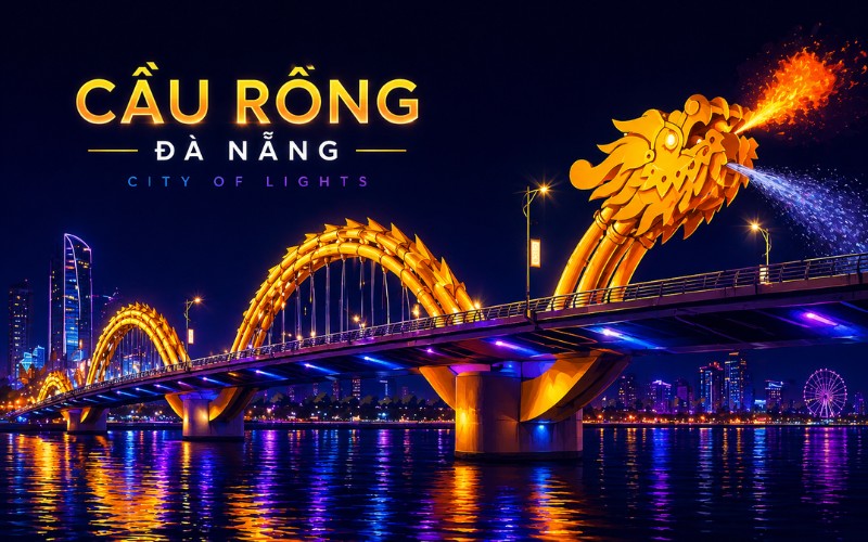 Cầu rồng vector ban đêm