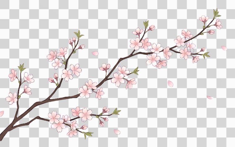 Cành đào vector phong cách Nhật Bản