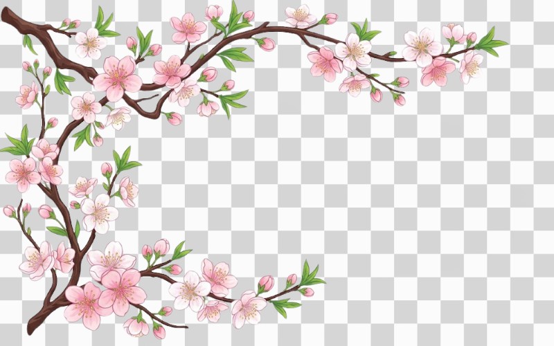 Cành đào vector trang trí khung viền
