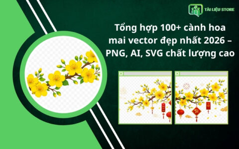 Tổng hợp 100+ cành hoa mai vector đẹp nhất 2026