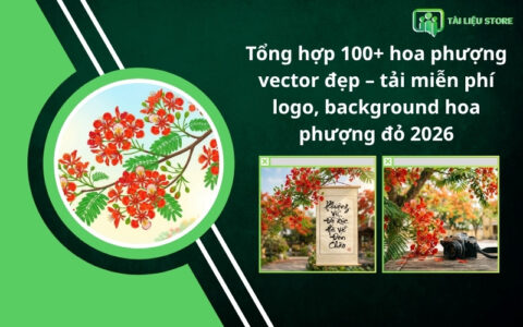 Tổng hợp 100+ hoa phượng vector đẹp