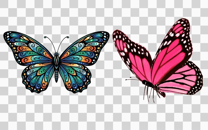 Bướm vector PNG nền trong suốt