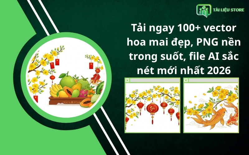 Tải ngay 100+ vector hoa mai đẹp, PNG nền trong suốt
