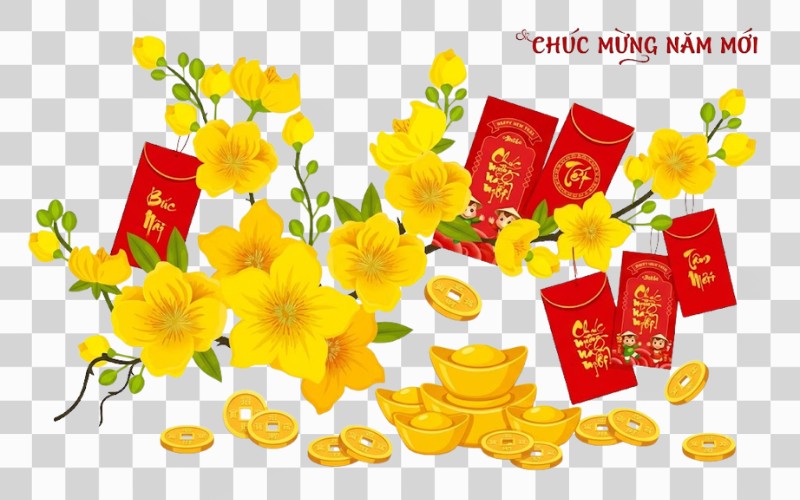 Vector hoa mai kết hợp bao lì xì & tiền vàng