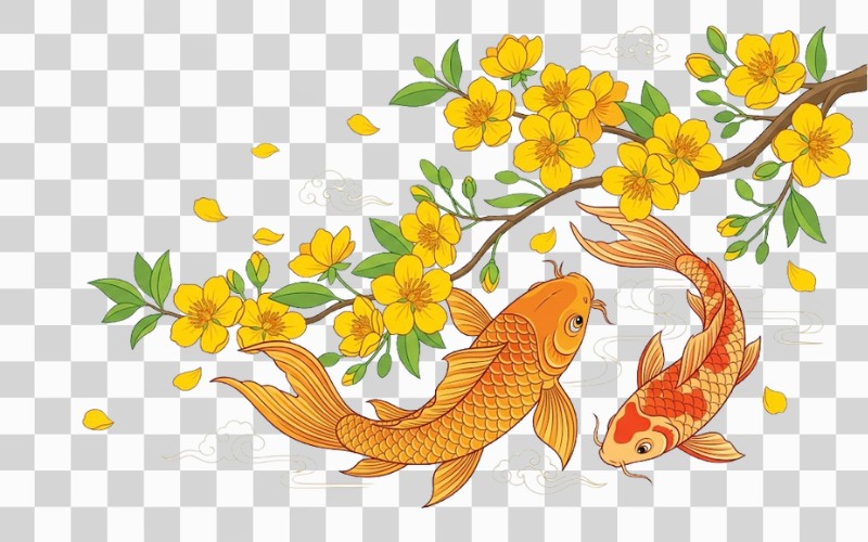 Vector hoa mai kết hợp cá chép