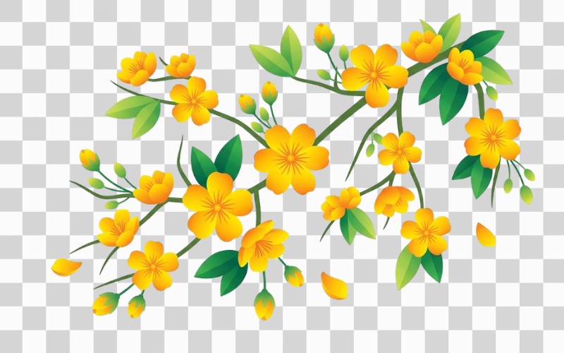 Vector hoa mai phong cách gradient chuyển màu hiện đại