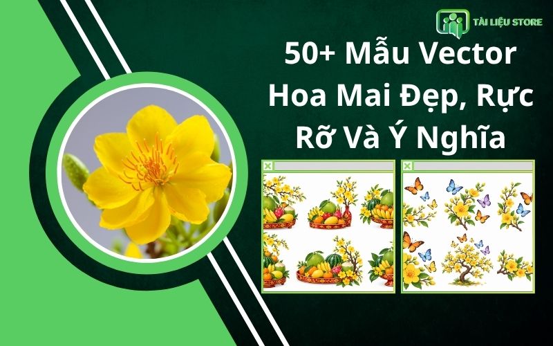 50+ Mẫu Vector Hoa Mai Đẹp, Rực Rỡ Và Ý Nghĩa