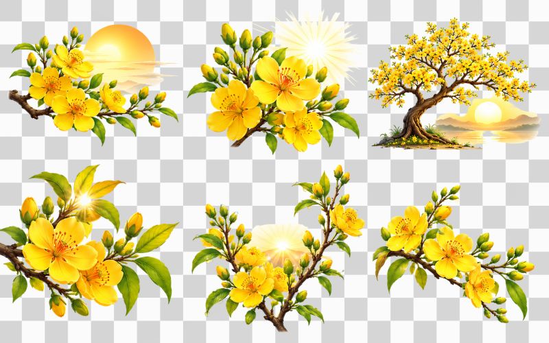 Vector hoa mai dưới nắng sớm